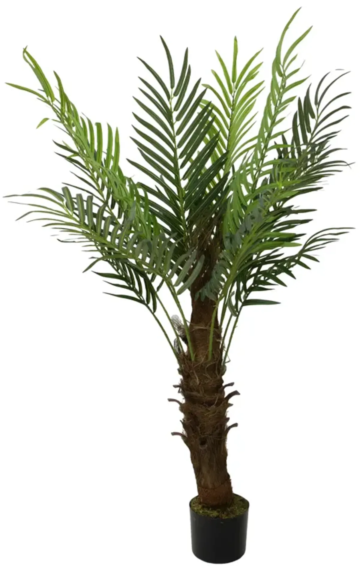 47" Artificial Brown and Green Phoenix Palm Potted Tree