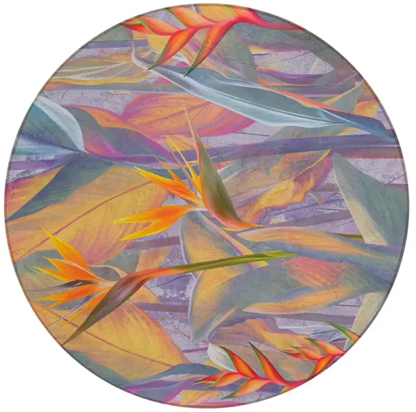 Tropics TC14 Passion 8' Rug