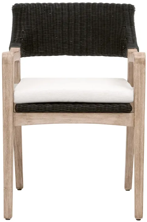 Lucia Arm Chair