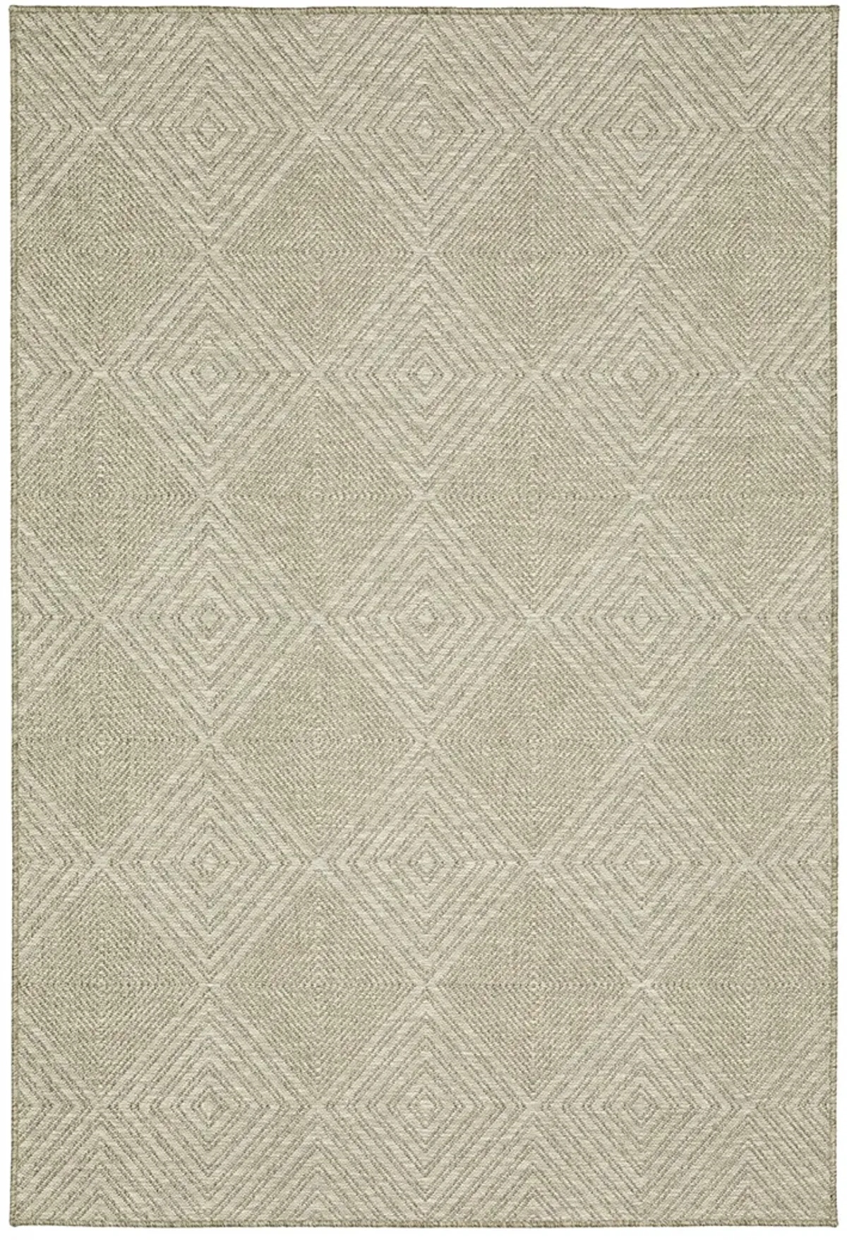 Tortuga 9'10" x 12'10" Beige Rug