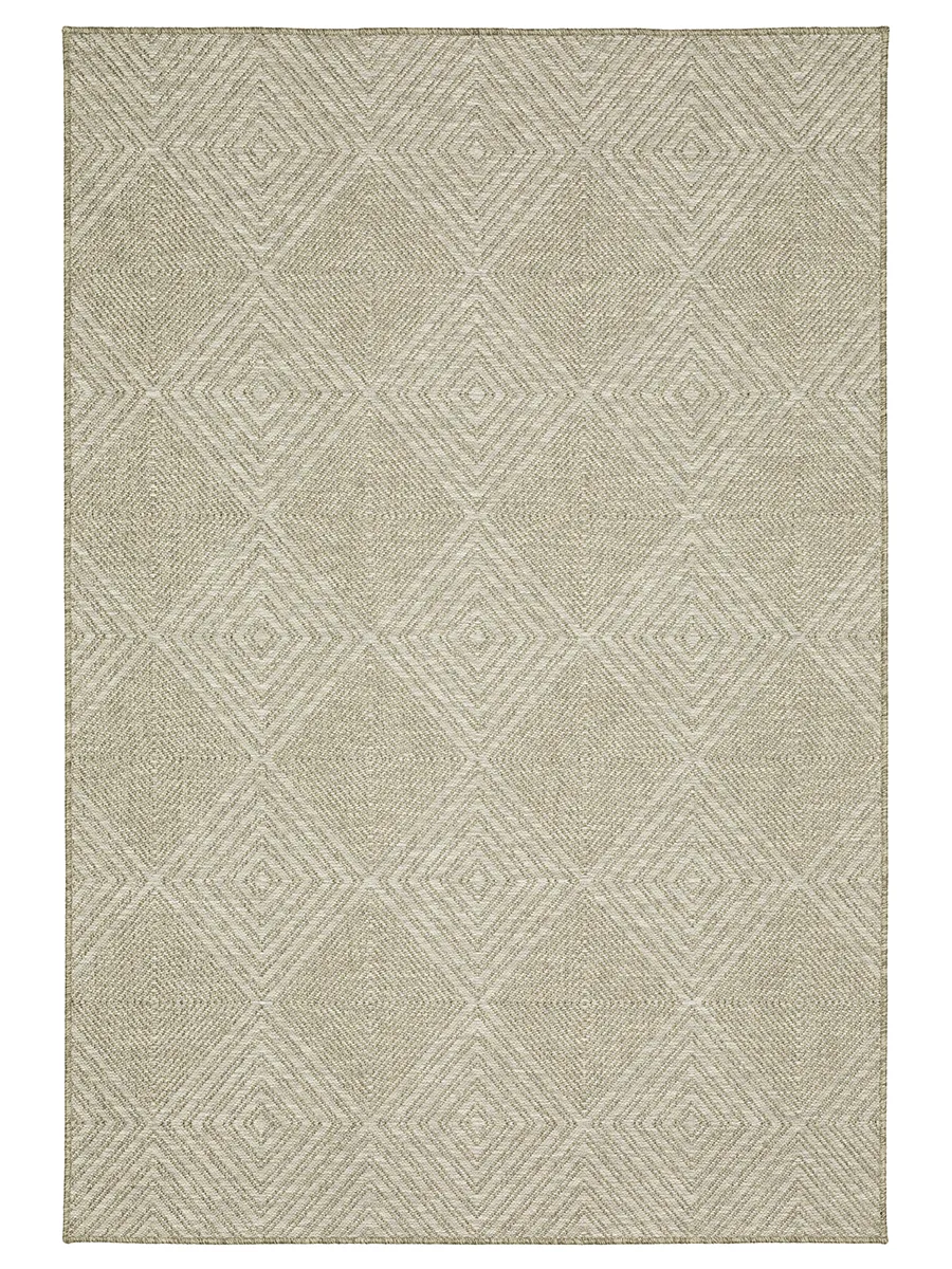 Tortuga 9'10" x 12'10" Beige Rug