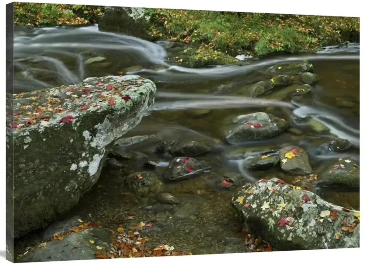 Laurel Creek, Great Smoky Mountains National Park, Tennessee-Canvas Art-40x30