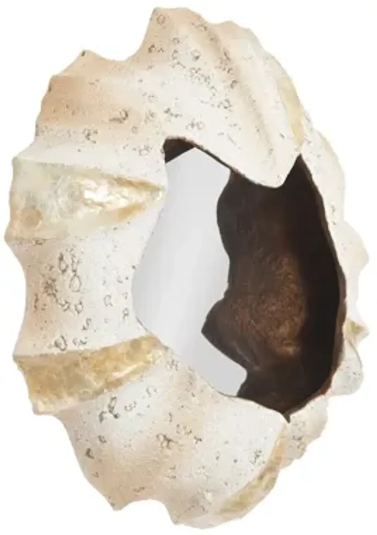 Barnacle Wall Art
