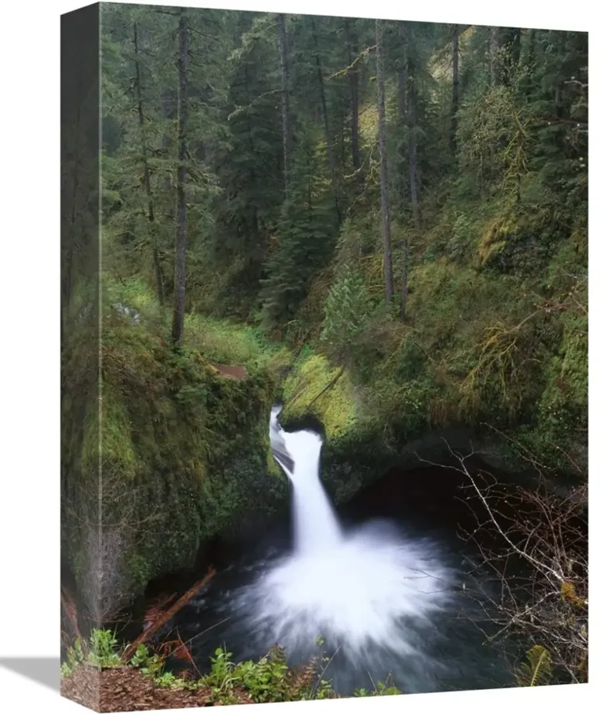 Punchbowl Falls at Eagle Creek, Columbia River Gorge, Oregon-Canvas Art-12x16