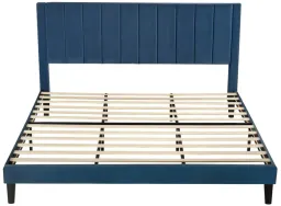 Navy color
