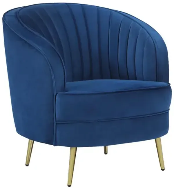 Velvet Accent Chair with Metal Legs in Blue and Gold
