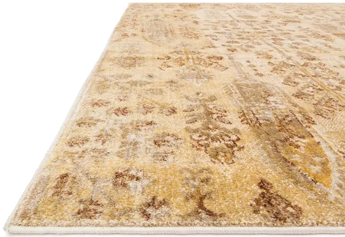 Anastatsia AF11 9'6" x 13'" Rug