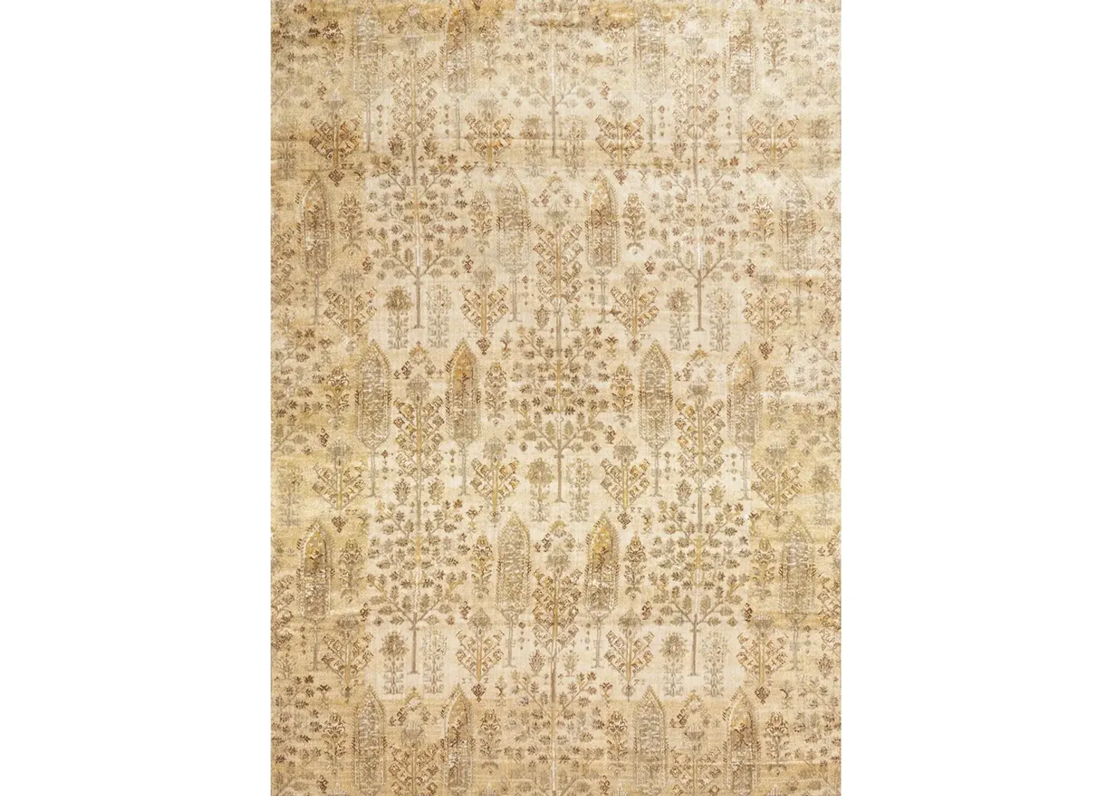 Anastatsia AF11 9'6" x 13'" Rug