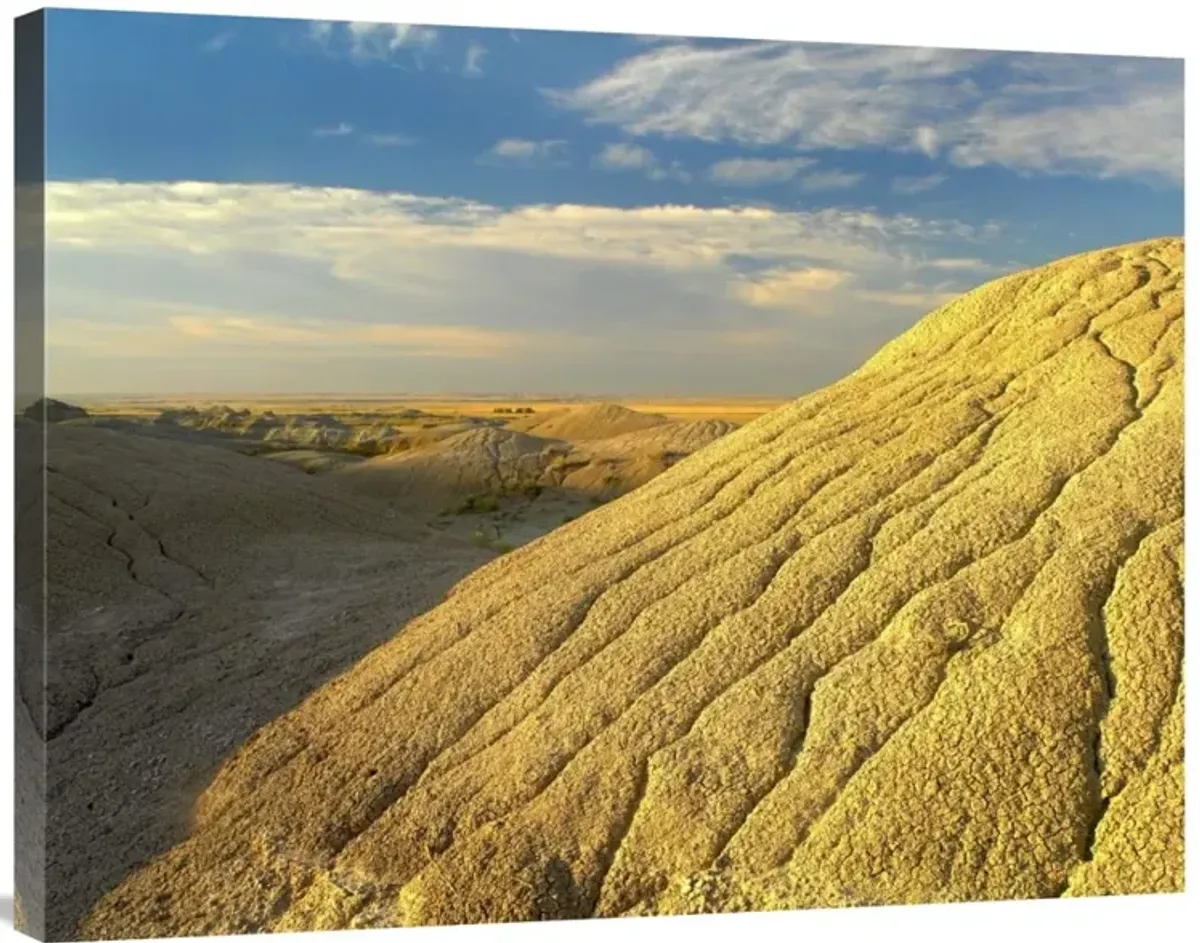 Detail of erosional feature, Badlands National Park, South Dakota-Canvas Art-35x28