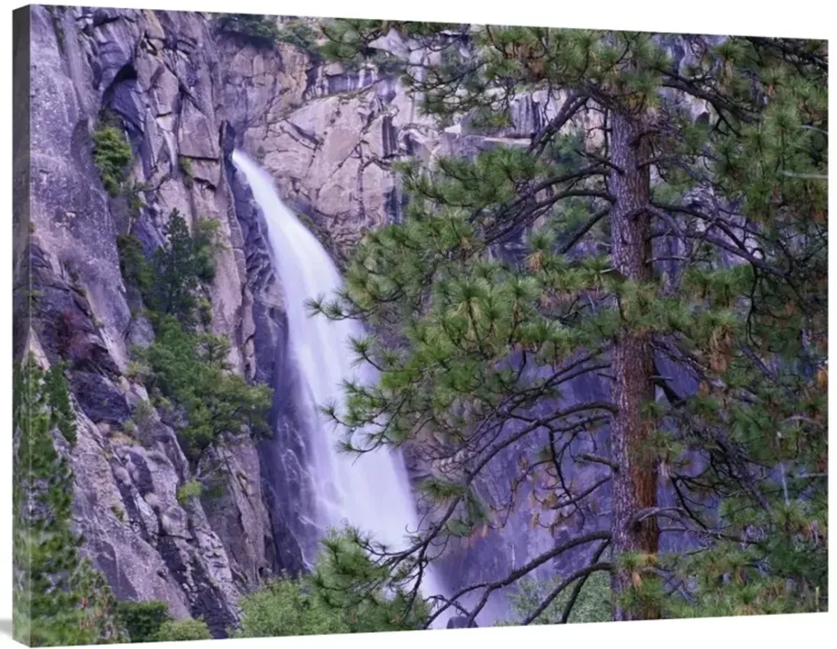 The Cascades from Yosemite National Park, California-Canvas Art-40x30