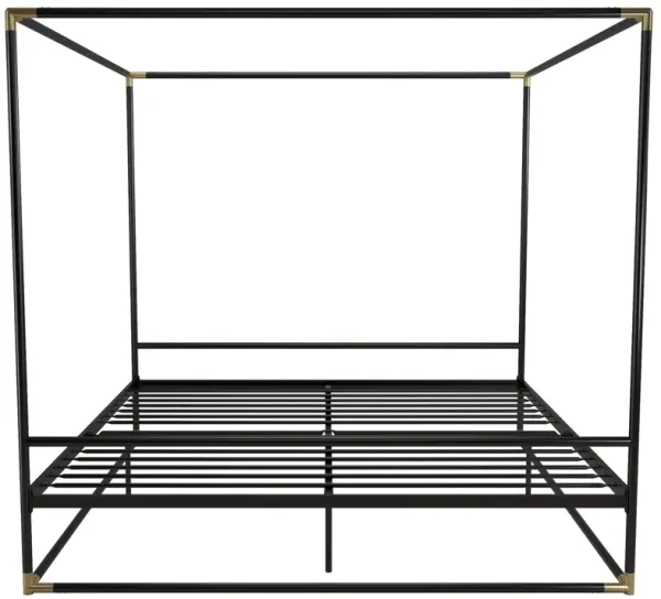 Celeste Canopy Metal Bed, King, Black & Gold