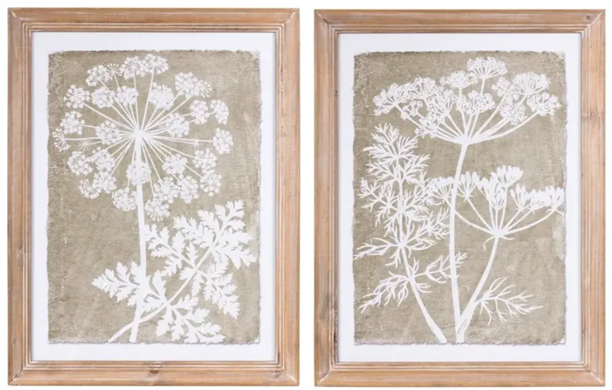 Framed Queen Anne's Lace And Fern Wall Art (Set of 2)