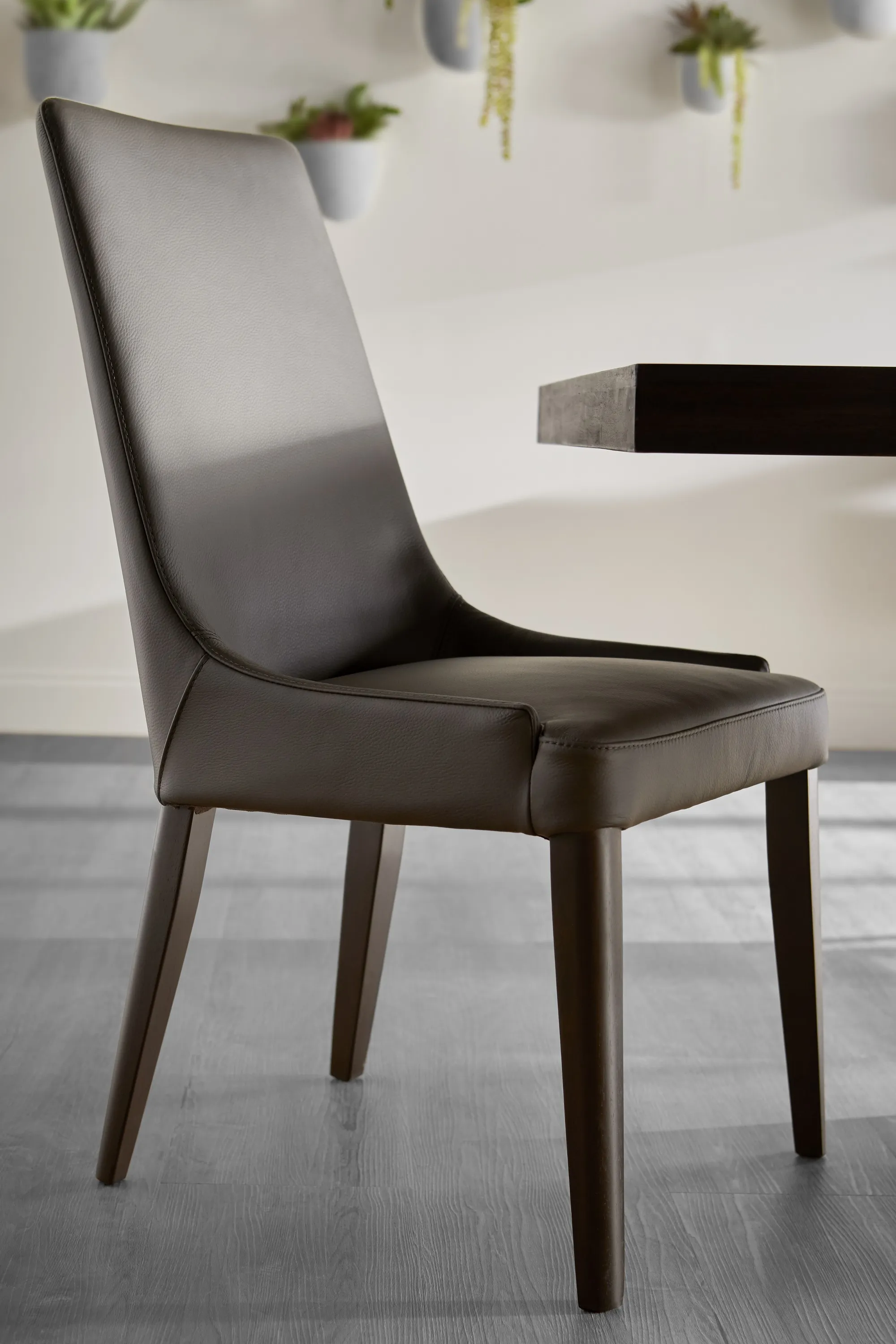 Aurora Dining Chair