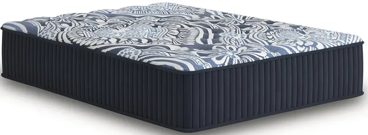 Firm Luxe 2.0 Queen Mattress
