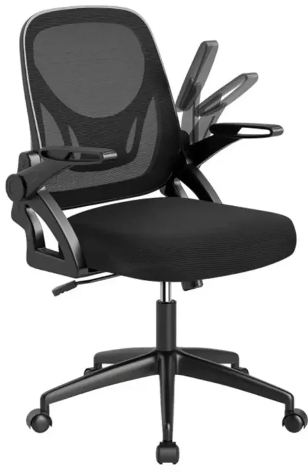 Hivvago Ergonomic Computer Desk Chair with Lumbar Support and Flip-up Arms