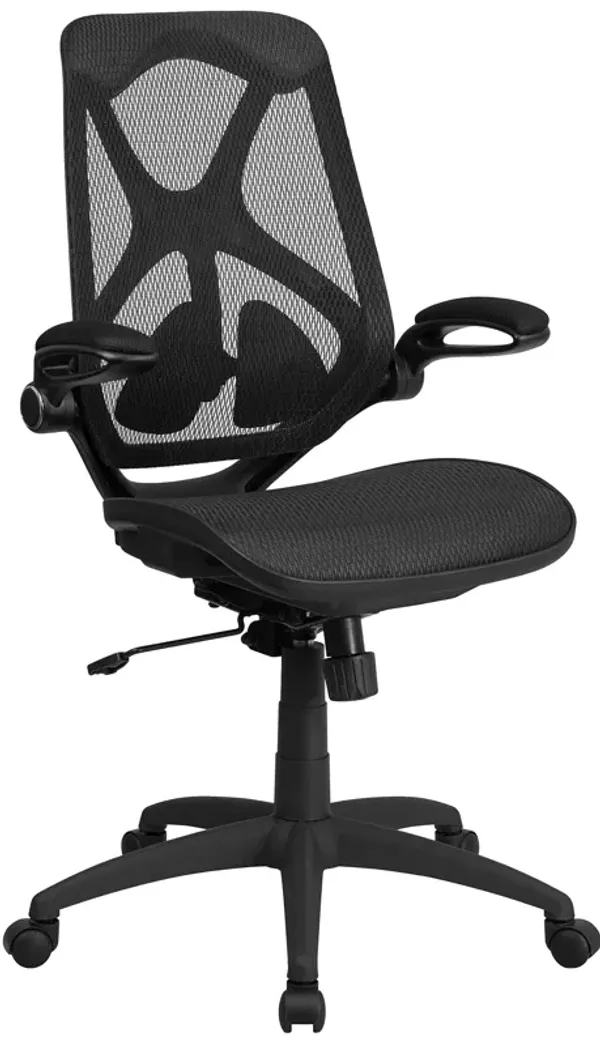 Kimble High Back Transparent Black Mesh Executive Ergonomic Office Chair with Adjustable Lumbar, 2-Paddle Control & Flip-Up Arms