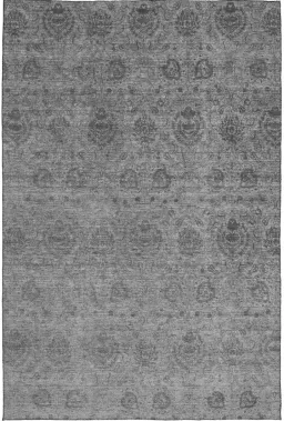 Gray color