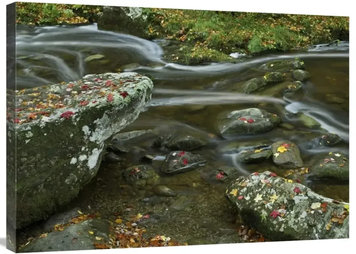 Laurel Creek, Great Smoky Mountains National Park, Tennessee-Canvas Art-32x24