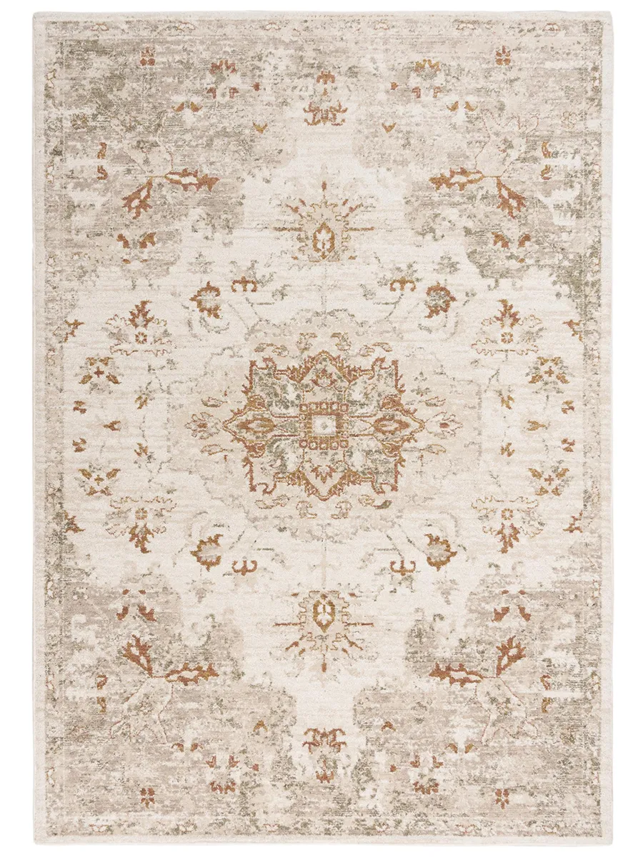 Ventura VRA749 10' x 13' Rug