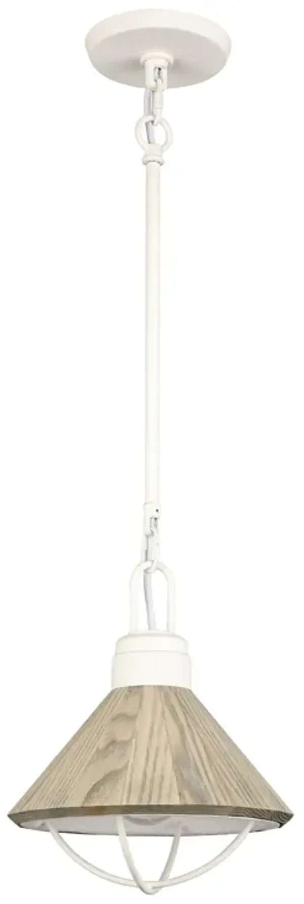 Cape May 9'' Wide 1-Light Mini Pendant