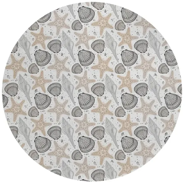 Seabreeze SZ4 Silver 8' Rug