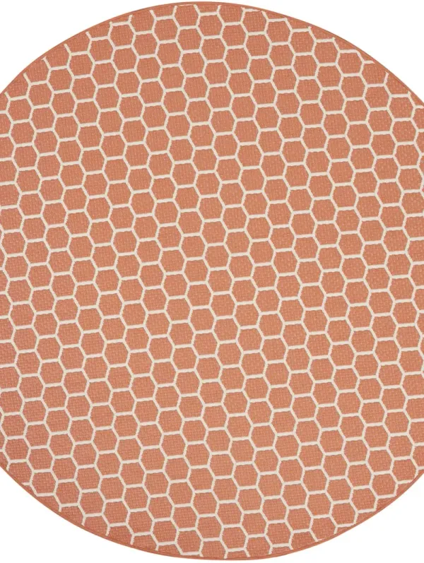 Twist Reversible TWS01 Coral 8' x Round Rug
