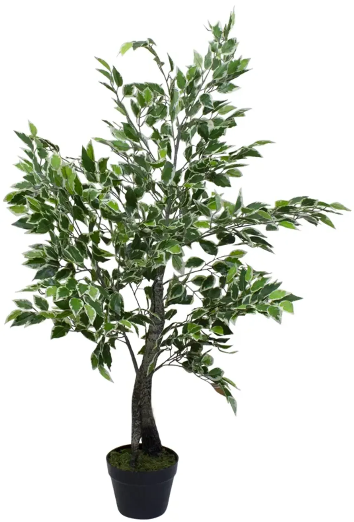 47" Artificial Variegated Green and Ivory Leaf Ficus Potted Plant