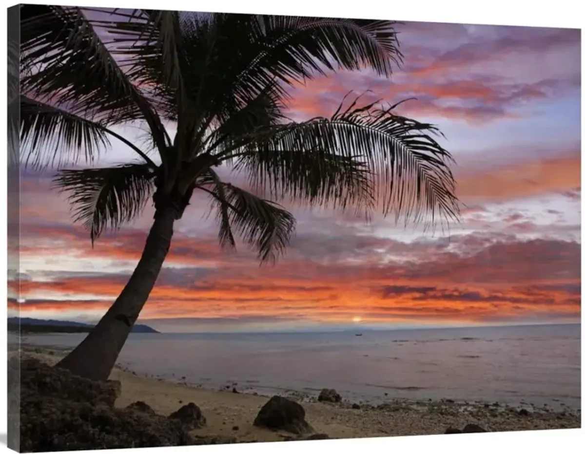 Coconut Palm at sunset near Dimiao, Bohol Island, Philippines-Canvas Art-40x30