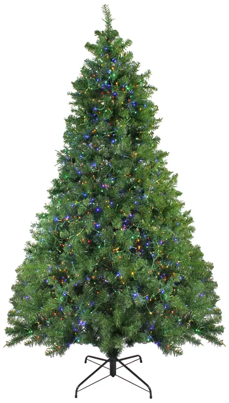 7.5' Pre-Lit Full Pike River Fir Artificial Christmas Tree - Multicolor LED Lights