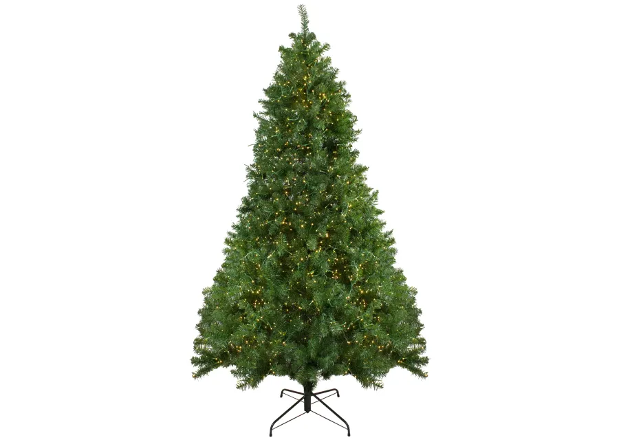 7.5' Pre-Lit Full Pike River Fir Artificial Christmas Tree - Multicolor LED Lights