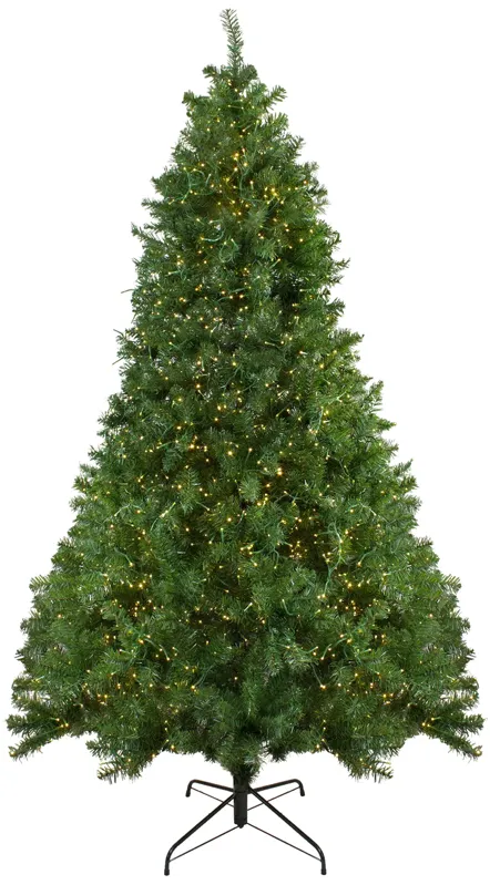 7.5' Pre-Lit Full Pike River Fir Artificial Christmas Tree - Multicolor LED Lights