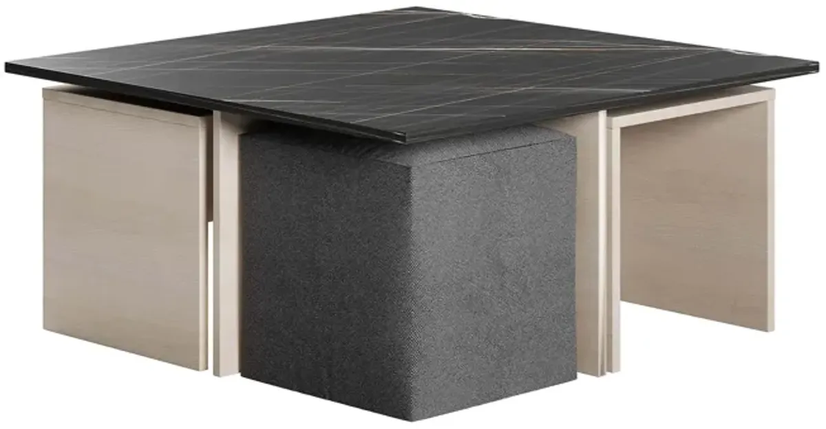 Haley Coffee Table & Ottoman Set in Black