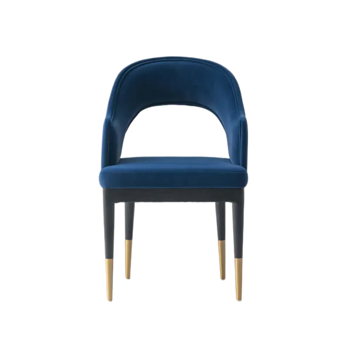 Carrington Blue Dining Chairs (Set of 2)