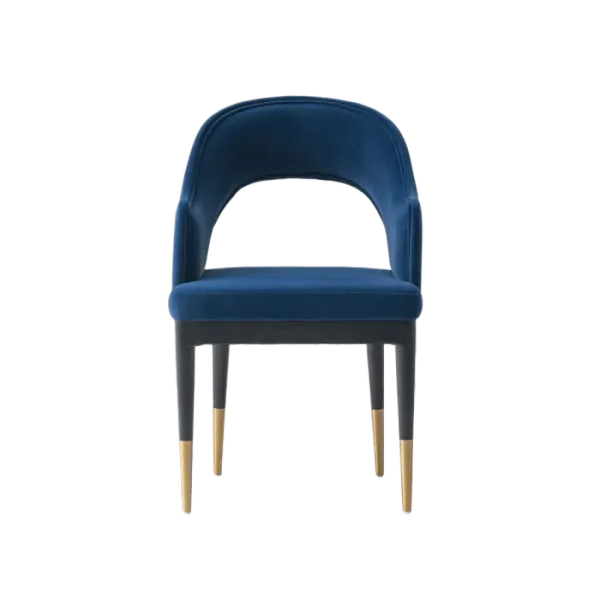 Carrington Blue Dining Chairs (Set of 2)