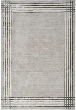 Gray Silver color