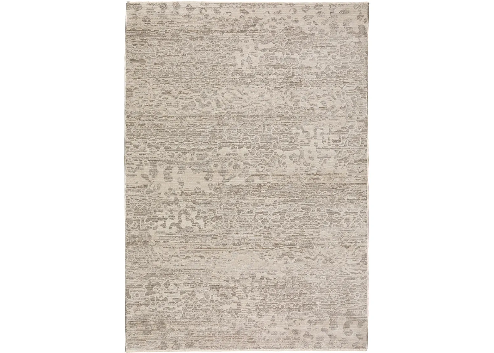 Denizi DZ6 Silver 5'3" x 7'8" Rug