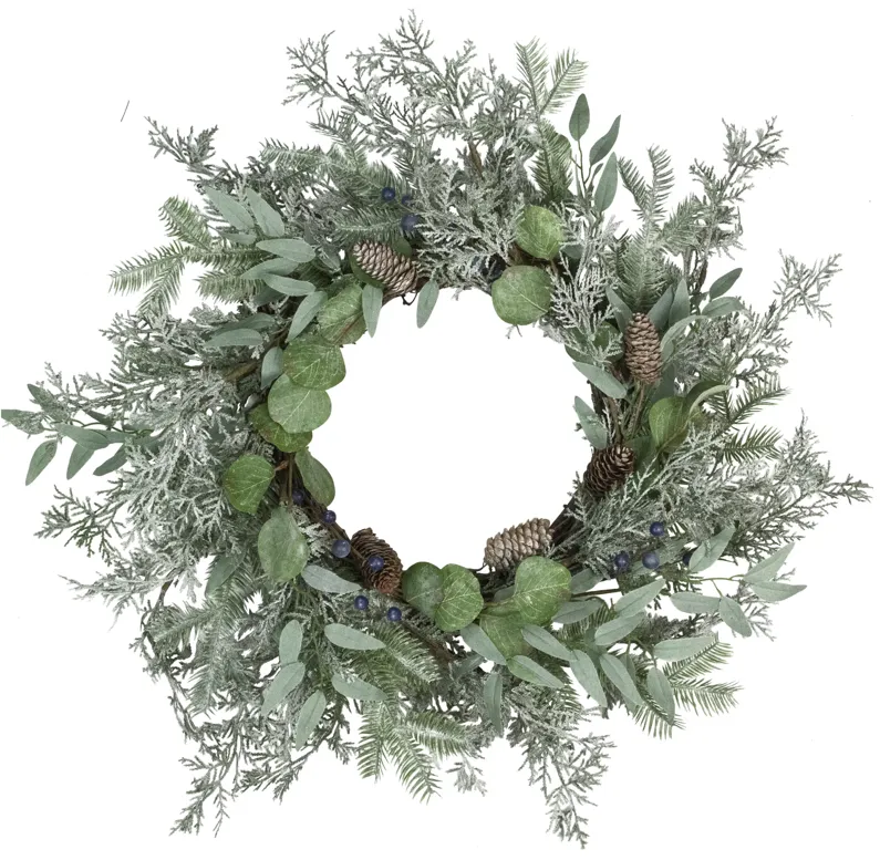 Frosted Green Mixed Foliage and Blueberries Artificial Christmas Wreath  26-Inch  Unlit