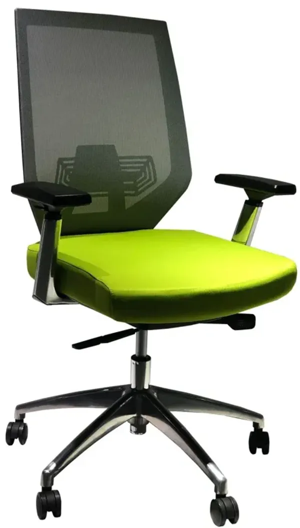 Adjustable Mesh Back Ergonomic Office Swivel Chair With Padded Seat And Casters, Green And Gray