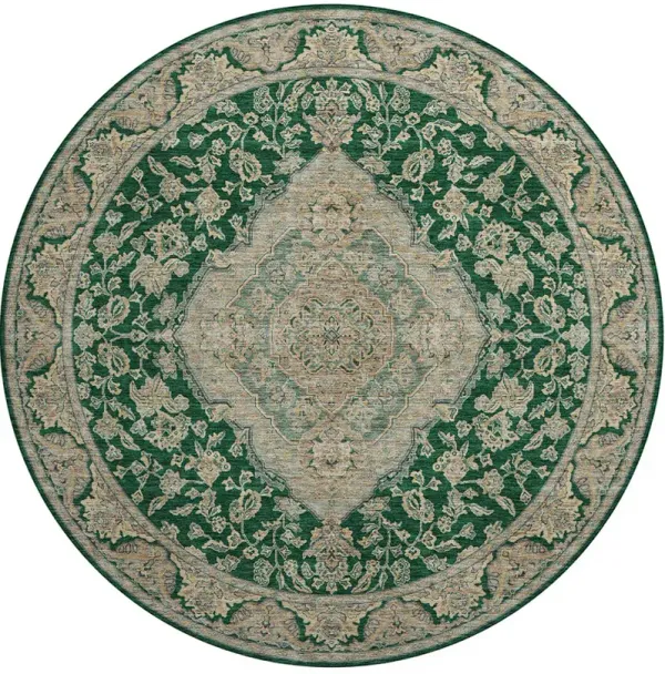 Hatay HY3 Emerald 8' Rug