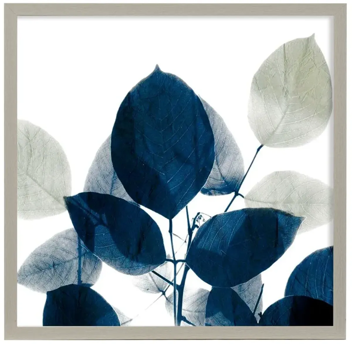 Midnight Leaves II Framed Print