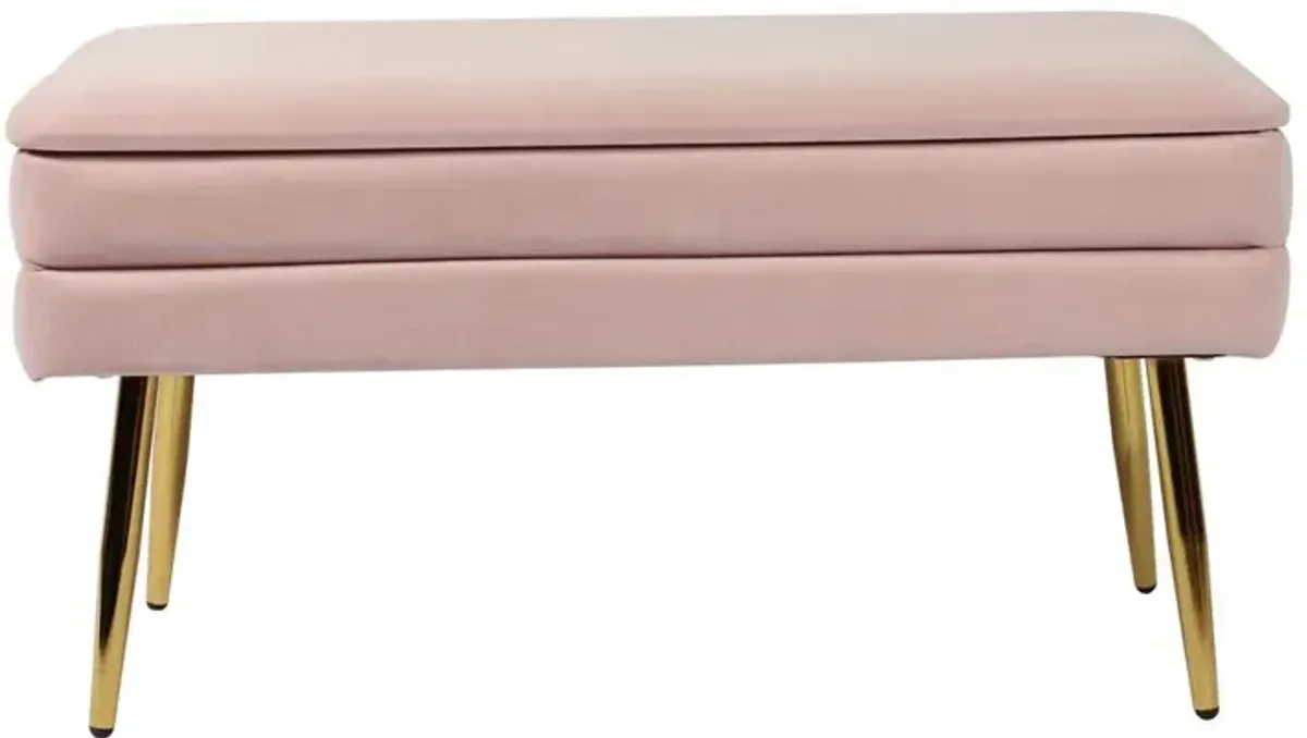 Belen Kox Sophisticated Velvet Storage Bench, Belen Kox