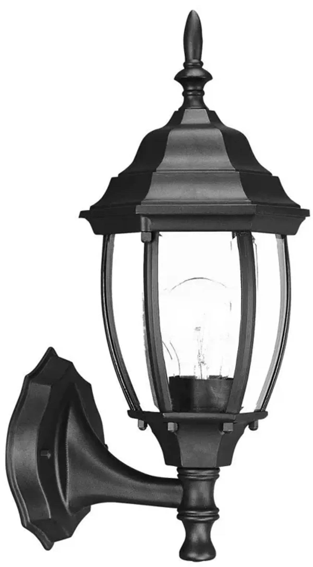 Hivvago Matte Black Globe Lantern Wall Light