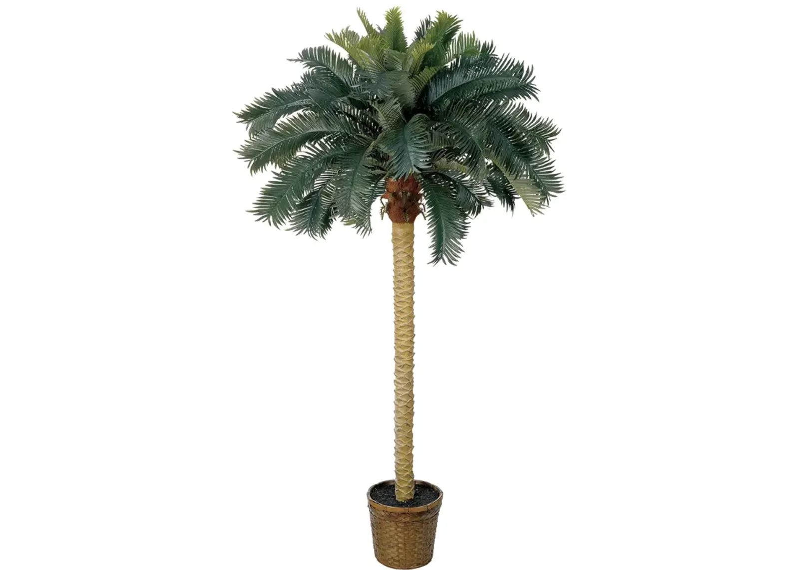 HomPlanti 6 Feet Sago Palm Silk Tree