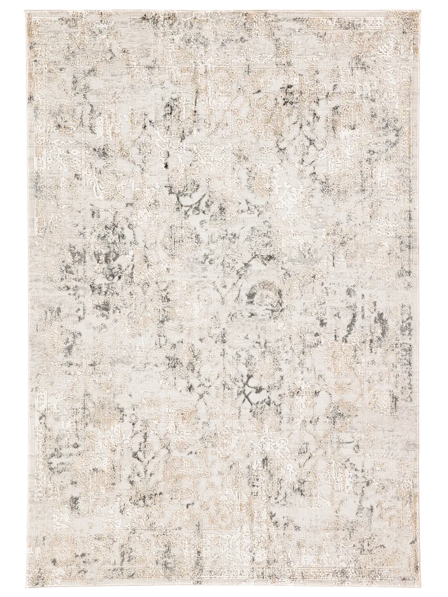 Cirque Clara Gray 3'11" x 5'11" Rug