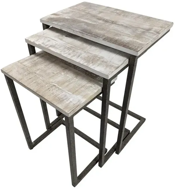Carolina Living Addison Nesting Table Set - Natural Driftwood Top - Aged Iron Base