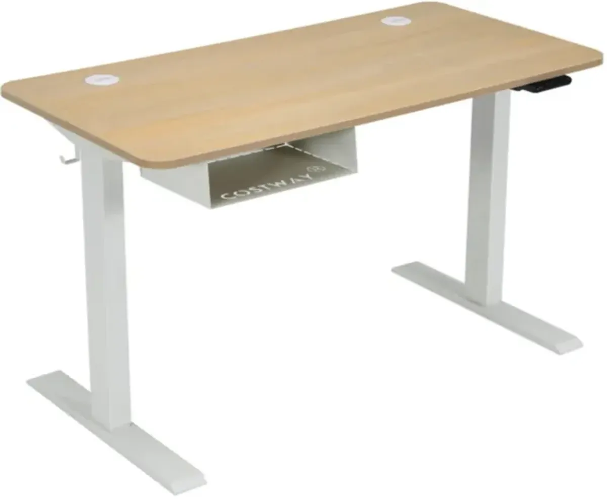 Hivvago 48 Inches Electric Standing Adjustable Desk with Control Panel and USB Port-Beige