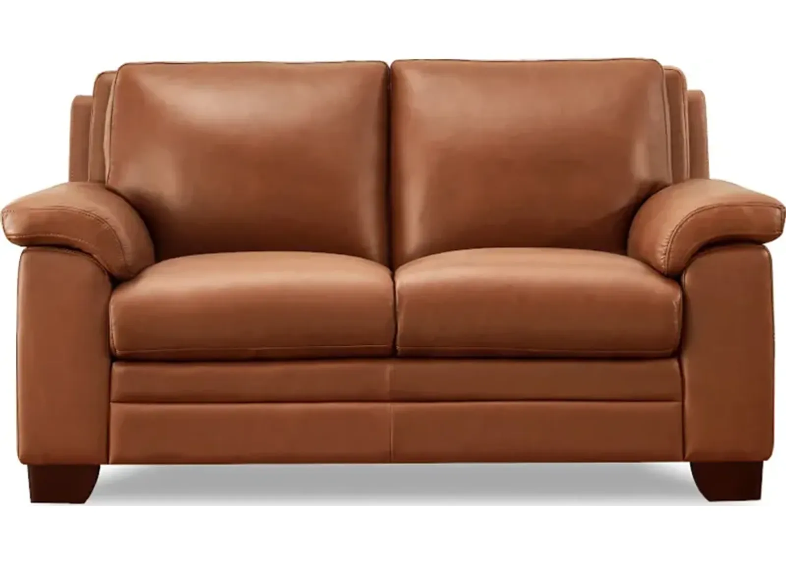 Magnum Top Grain Leather Loveseat