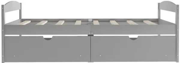 Twin Size Platform Bed, with Two Drawers