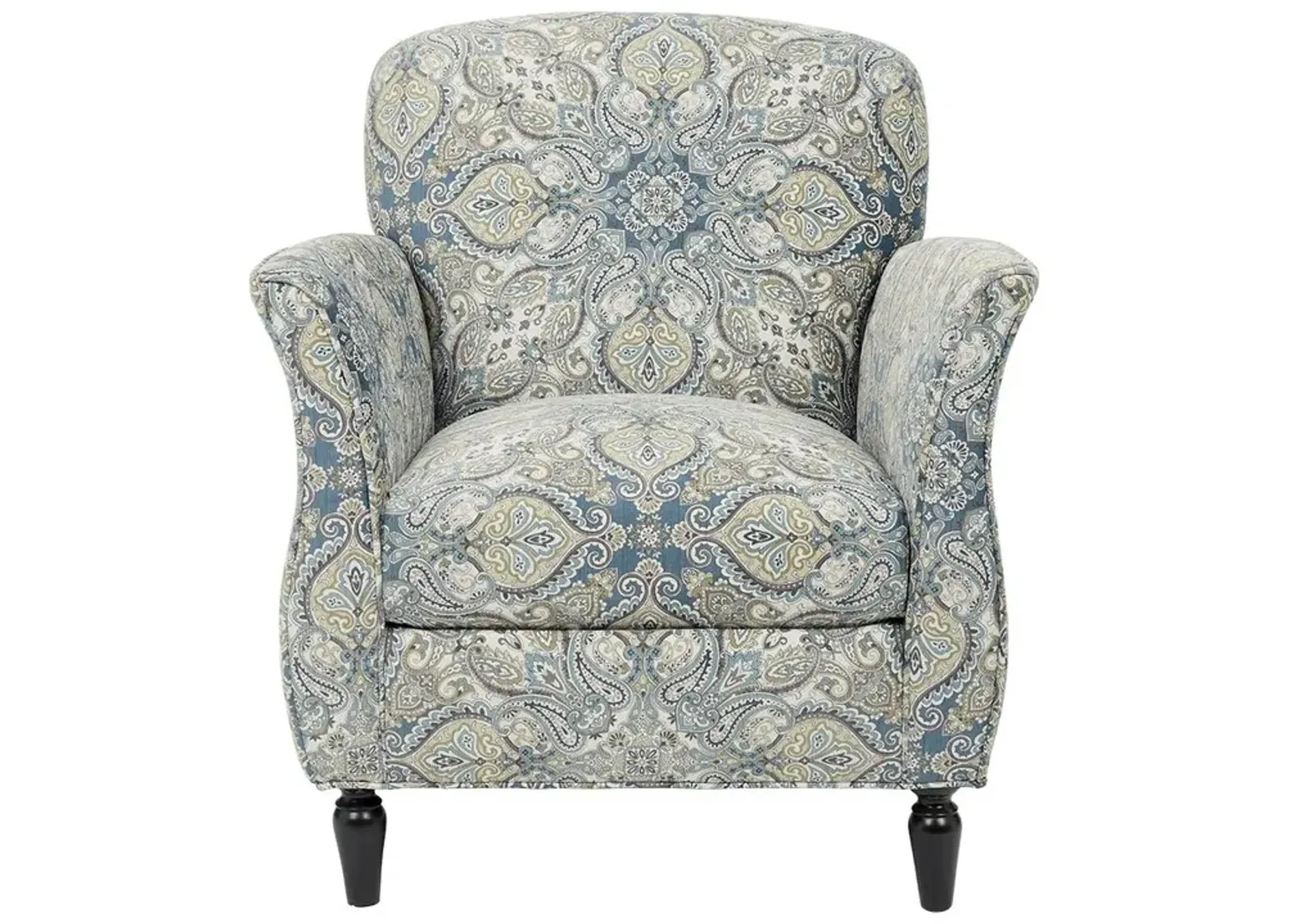 Belen Kox Transitional Printed Accent Chair, Belen Kox