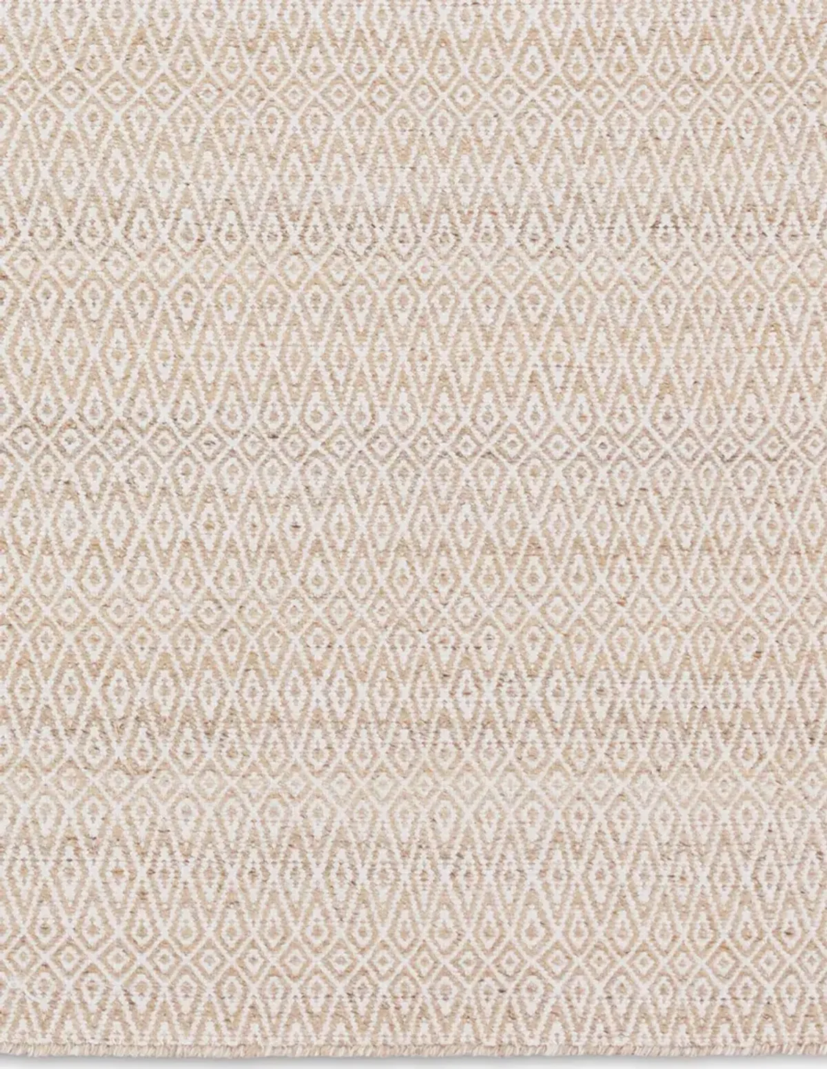 Almas Imogen Tan/Taupe 9' x 12' Rug